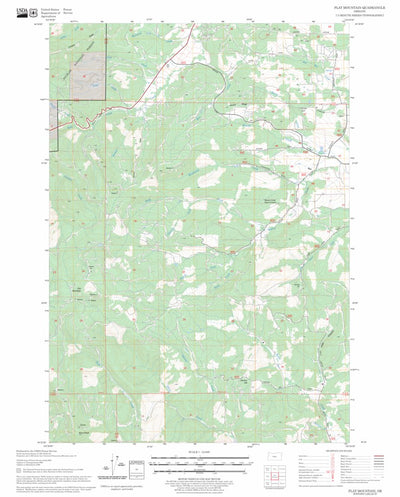 US Forest Service - Topo Flat Mountain, OR FSTopo Legacy digital map