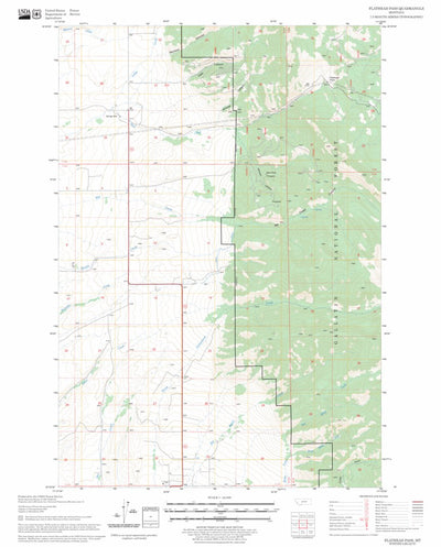 US Forest Service - Topo Flathead Pass, MT FSTopo Legacy digital map