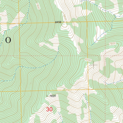 US Forest Service - Topo Flint Mountain, MT FSTopo Legacy digital map