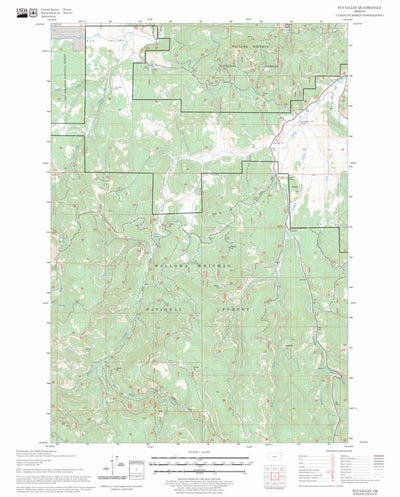 US Forest Service - Topo Fly Valley, OR FSTopo Legacy digital map