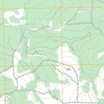 US Forest Service - Topo Fodice, TX FSTopo Legacy digital map