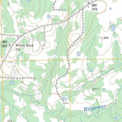 US Forest Service - Topo Fodice, TX FSTopo Legacy digital map
