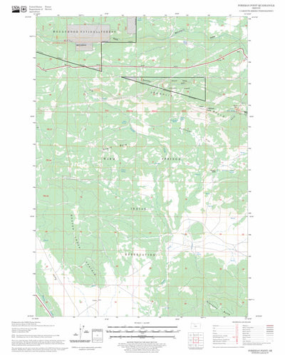 US Forest Service - Topo Foreman Point, OR FSTopo Legacy digital map