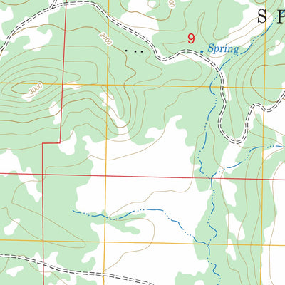 US Forest Service - Topo Foreman Point, OR FSTopo Legacy digital map