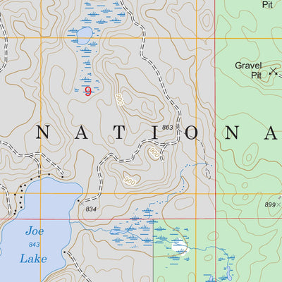 US Forest Service - Topo Forest Lake, MI FSTopo Legacy digital map