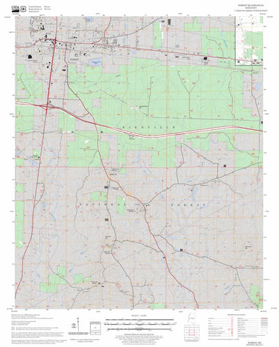 US Forest Service - Topo Forest, MS FSTopo Legacy digital map