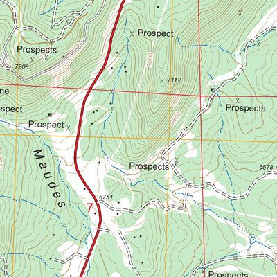 US Forest Service - Topo Fort Bayard, NM FSTopo Legacy digital map