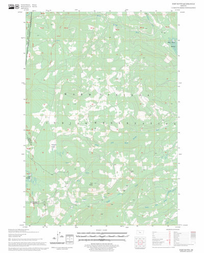 US Forest Service - Topo Fort Butte, OR FSTopo Legacy digital map