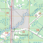 US Forest Service - Topo Fort Gadsden, FL FSTopo Legacy digital map