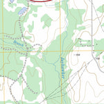 US Forest Service - Topo Fostoria, TX FSTopo Legacy digital map