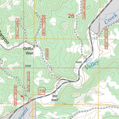US Forest Service - Topo Fourmile, SD FSTopo Legacy digital map