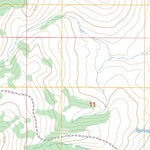 US Forest Service - Topo Fourmile Spring, MT FSTopo Legacy digital map