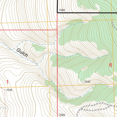 US Forest Service - Topo Fox Gulch, MT FSTopo Legacy digital map