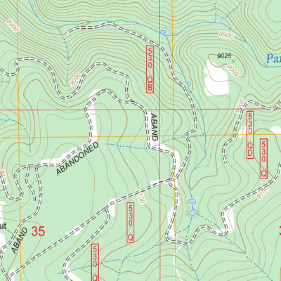 US Forest Service - Topo Foxpark, WY FSTopo Legacy digital map
