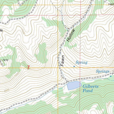 US Forest Service - Topo Francis Canyon, UT FSTopo Legacy digital map