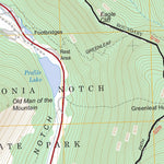 US Forest Service - Topo Franconia, NH FSTopo Legacy digital map