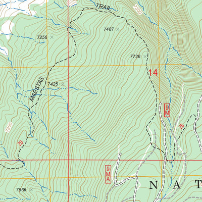 US Forest Service - Topo French Mesa, NM FSTopo Legacy digital map