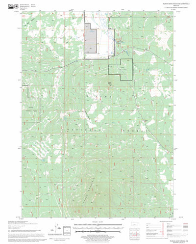 US Forest Service - Topo Fuego Mountain, OR FSTopo Legacy digital map