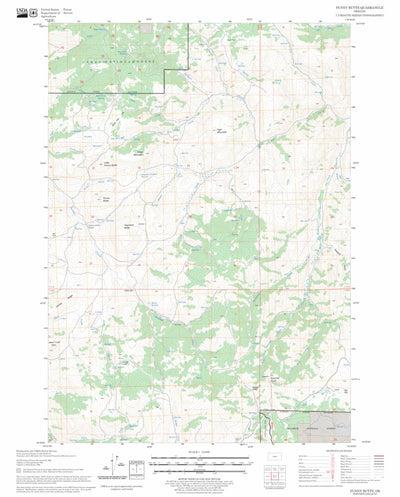 US Forest Service - Topo Funny Butte, OR FSTopo Legacy digital map