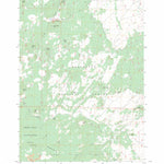 US Forest Service - Topo Fuzztail Butte, OR FSTopo Legacy digital map