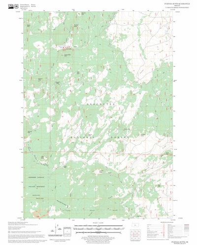 US Forest Service - Topo Fuzztail Butte, OR FSTopo Legacy digital map