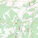 US Forest Service - Topo Fuzztail Butte, OR FSTopo Legacy digital map