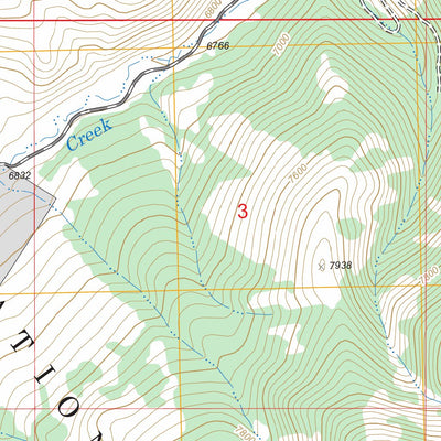 US Forest Service - Topo Gallagher Gulch, MT - ID FSTopo Legacy digital map