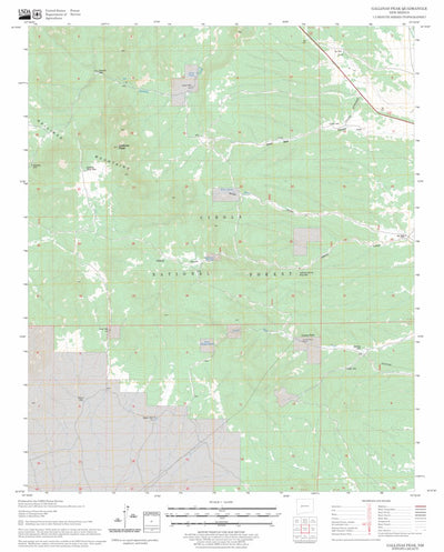 US Forest Service - Topo Gallinas Peak, NM FSTopo Legacy digital map