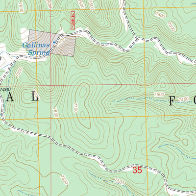 US Forest Service - Topo Gallinas Peak, NM FSTopo Legacy digital map