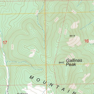 US Forest Service - Topo Gallinas Peak, NM FSTopo Legacy digital map