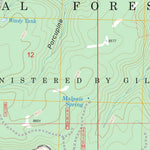 US Forest Service - Topo Gallo Mountains East, NM FSTopo Legacy digital map