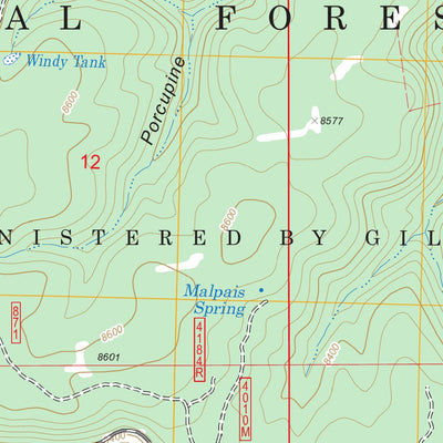 US Forest Service - Topo Gallo Mountains East, NM FSTopo Legacy digital map