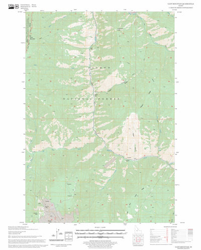 US Forest Service - Topo Gant Mountain, ID FSTopo Legacy digital map