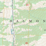 US Forest Service - Topo Gant Mountain, ID FSTopo Legacy digital map