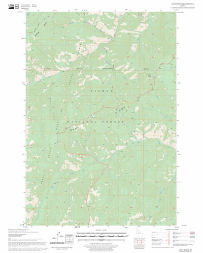 US Forest Service - Topo Gant Ridge, ID FSTopo Legacy digital map