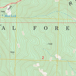 US Forest Service - Topo Gant Ridge, ID FSTopo Legacy digital map