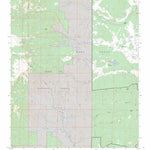 US Forest Service - Topo Gascon, NM FSTopo Legacy digital map