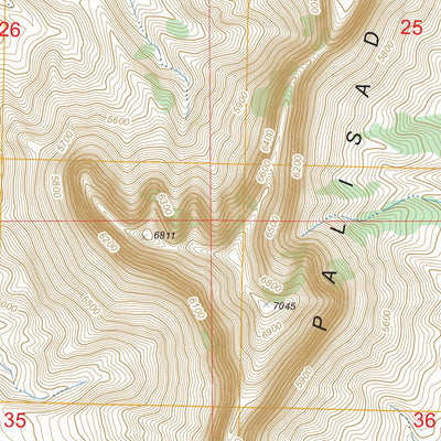 US Forest Service - Topo Gateway, CO FSTopo Legacy digital map