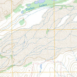 US Forest Service - Topo Gem, TX FSTopo Legacy digital map