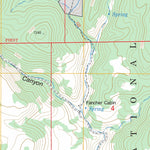 US Forest Service - Topo Georges Canyon Rim, NV FSTopo Legacy digital map