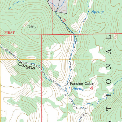 US Forest Service - Topo Georges Canyon Rim, NV FSTopo Legacy digital map