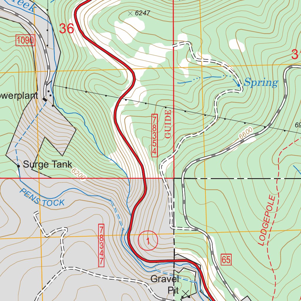 Georgetown Lake, MT FSTopo Legacy Map by US Forest Service - Topo ...