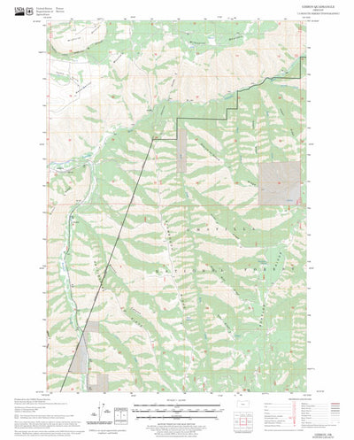 US Forest Service - Topo Gibbon, OR FSTopo Legacy digital map