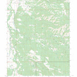 US Forest Service - Topo Gibson Gulch, CO FSTopo Legacy digital map