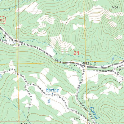 US Forest Service - Topo Gibson Gulch, CO FSTopo Legacy digital map