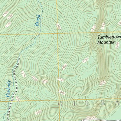 US Forest Service - Topo Gilead, ME FSTopo Legacy digital map