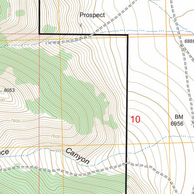 US Forest Service - Topo Gilmore Summit, ID FSTopo Legacy digital map