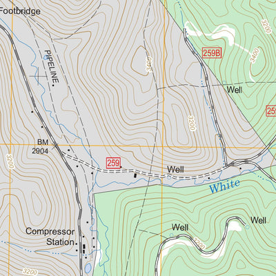 US Forest Service - Topo Glady, WV FSTopo Legacy digital map