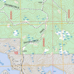 US Forest Service - Topo Glennie, MI FSTopo Legacy digital map
