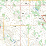 US Forest Service - Topo Goat Creek, NV FSTopo Legacy digital map